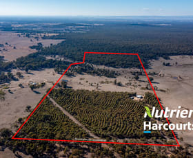 Rural / Farming commercial property sold at Lot 2 Forest Road Killawarra VIC 3678