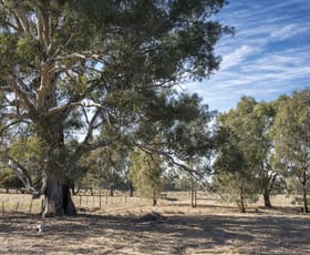 Rural / Farming commercial property for sale at CA29 Golden Vale Road Benalla VIC 3672