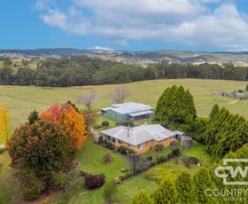Rural / Farming commercial property for sale at 4291 Pinkett Road Glen Innes NSW 2370
