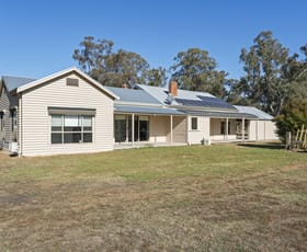 Rural / Farming commercial property for sale at 3713 Murchison-Violet Town Road Violet Town VIC 3669