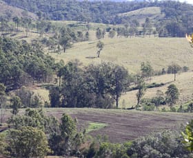 Rural / Farming commercial property for sale at 6 Greenbank Road Mount Perry QLD 4671