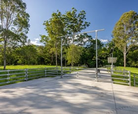 Rural / Farming commercial property for sale at Mount Delaney QLD 4514