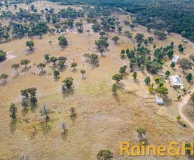 Rural / Farming commercial property for sale at 563 Diladerry Road Tomingley NSW 2869