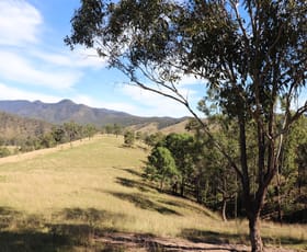 Rural / Farming commercial property sold at Lot 81/7986 Kempsey Rd Lower Creek NSW 2440