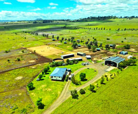 Rural / Farming commercial property for sale at 491 T MOORE ROAD Oakey QLD 4401