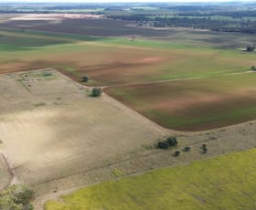 Rural / Farming commercial property for sale at Lot 1 Brymaroo Irvingdale Road Brymaroo QLD 4403