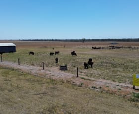Rural / Farming commercial property for sale at Lot 1 Brymaroo Irvingdale Road Brymaroo QLD 4403