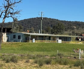 Rural / Farming commercial property for sale at 3004 Golden Highway Gungal NSW 2333