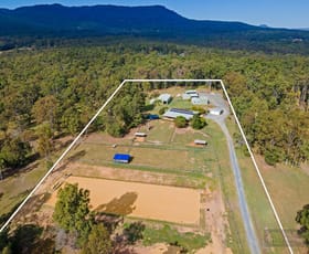 Rural / Farming commercial property for sale at 1931 Beaudesert-Beenleigh Road Tamborine QLD 4270