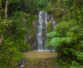 Rural / Farming commercial property for sale at 14 Weismantel Road Nimbin NSW 2480