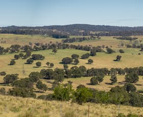 Rural / Farming commercial property for sale at 338 Fishington Road Wongwibinda NSW 2350
