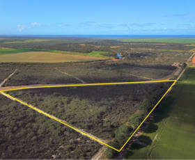 Rural / Farming commercial property sold at 53 Orchid Road Hopetoun WA 6348