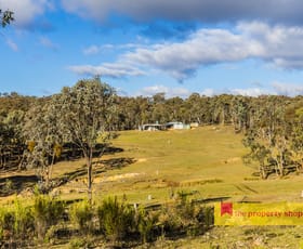 Rural / Farming commercial property sold at 556 Clarkes Creek Road Mudgee NSW 2850