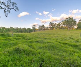 Rural / Farming commercial property for sale at Lot 6 Eel Creek Road Langshaw QLD 4570