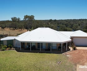 Rural / Farming commercial property sold at 287 Wanerie Road, Wanerie Gingin WA 6503