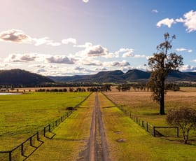 Rural / Farming commercial property for sale at 100 Richmond Grove Road Sandy Hollow NSW 2333
