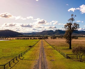 Rural / Farming commercial property sold at 100 Richmond Grove Road Sandy Hollow NSW 2333