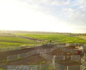 Rural / Farming commercial property for sale at 'Kierahmee' 53 Tyrone Rd, Bunnan via Scone NSW 2337