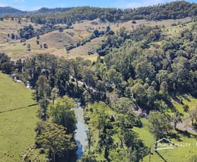 Rural / Farming commercial property for sale at 326 Iron Pot Creek Road Kyogle NSW 2474