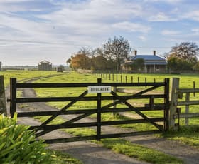 Rural / Farming commercial property sold at 130 Swamp Road Catani VIC 3981