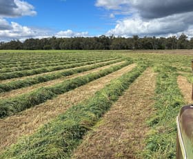 Rural / Farming commercial property for sale at 89 Roseleigh Lane Forbes NSW 2871