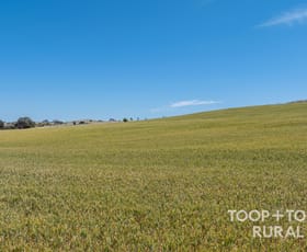 Rural / Farming commercial property sold at 131 Berry Road St Kitts SA 5356