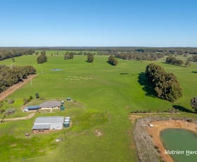 Rural / Farming commercial property for sale at 81 Edwards Road Balbarrup WA 6258