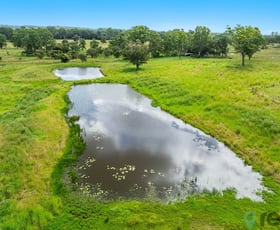 Rural / Farming commercial property for sale at 75 Busbys Flat Road Leeville NSW 2470