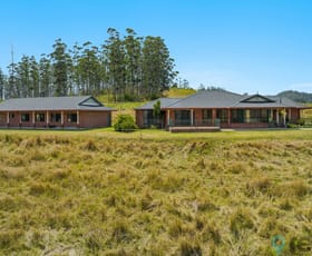 Rural / Farming commercial property for sale at 64 Asperys Road Ettrick NSW 2474
