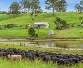 Rural / Farming commercial property for sale at 98 Larsson Road Tunglebung NSW 2469