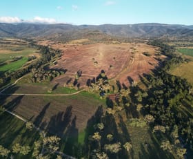 Rural / Farming commercial property for sale at Willow Tree NSW 2339