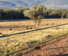 Rural / Farming commercial property for sale at Willow Tree NSW 2339