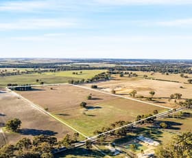 Rural / Farming commercial property sold at 319 Three Bridges Road Lower Norton VIC 3401