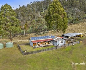 Rural / Farming commercial property for sale at 5601 Tasman Highway Buckland TAS 7190