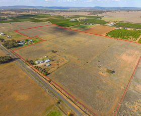 Rural / Farming commercial property sold at 193 Canal Road Leeton NSW 2705