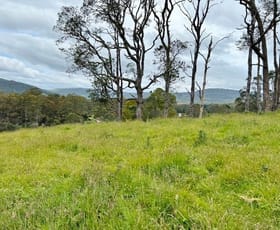Rural / Farming commercial property for sale at Lot/2 Tasman Highway Weldborough TAS 7264