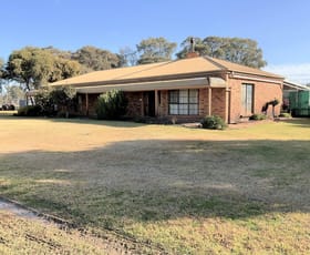 Rural / Farming commercial property for sale at 353 North Barham Road Barham NSW 2732