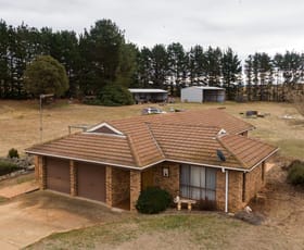 Rural / Farming commercial property sold at "Najee" 817 Numeralla Road Bunyan NSW 2630