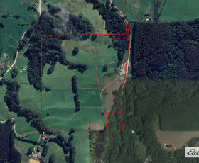 Rural / Farming commercial property for sale at 184 Youngs Road Irishtown TAS 7330