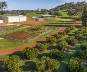 Rural / Farming commercial property sold at 45 Settlement Road Bindoon WA 6502