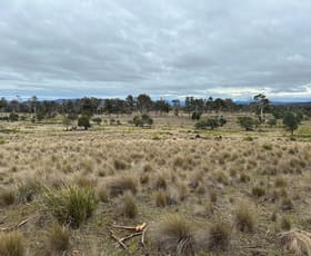 Rural / Farming commercial property for sale at . Glovers Road Bothwell TAS 7030