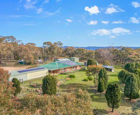 Rural / Farming commercial property sold at 412 Billywillinga Road Billywillinga NSW 2795