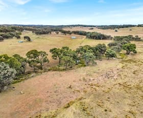 Rural / Farming commercial property sold at Lot 117 Dp 754106 Rye Park Road, Broadway Gunning NSW 2581