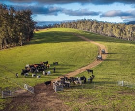 Rural / Farming commercial property for sale at 'Rosewood', Geraldine Road Walcha NSW 2354