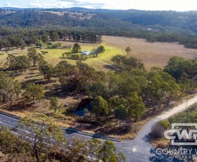 Rural / Farming commercial property for sale at 13 Bluff River Road Tenterfield NSW 2372