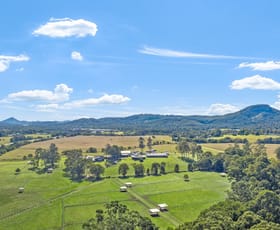 Rural / Farming commercial property for sale at 72-128 Sheahans Road Yandina QLD 4561