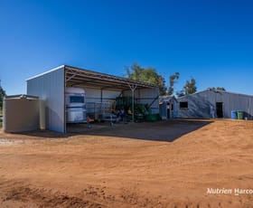 Rural / Farming commercial property for sale at Lot 10 Barrack Road Tammin WA 6409