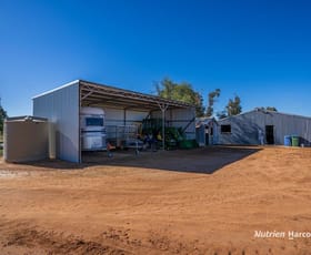 Rural / Farming commercial property sold at Lot 10 Barrack Road Tammin WA 6409