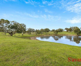 Rural / Farming commercial property for sale at 862 (Lot) Woolshed Road Mount Torrens SA 5244