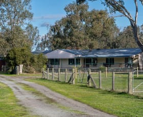 Rural / Farming commercial property for sale at 460 Harrisons Road Violet Town VIC 3669